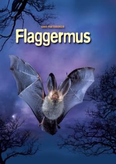 Flaggermus