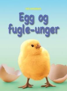 Egg og fugleunger