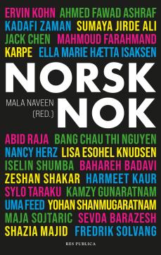 Norsk nok : tekster om identitet og tilhørighet