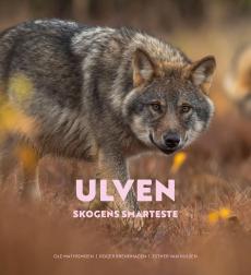 Ulven : skogens smarteste