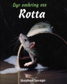 Rotta