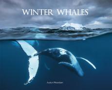 Winter whales