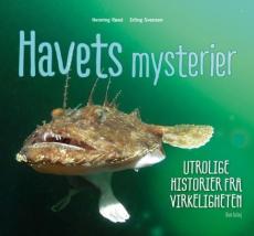 Havets mysterier : utrolige historier fra virkeligheten