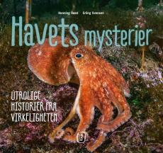 Havets mysterier : utrolige historier fra virkeligheten (3)