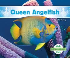 Queen Angelfish