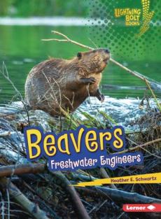 Beavers