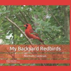 My Backyard Redbirds