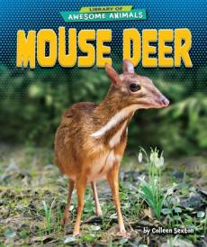 Mouse Deer