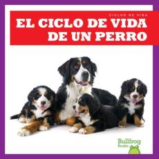 El Ciclo de Vida de Un Perro (a Dog's Life Cycle)