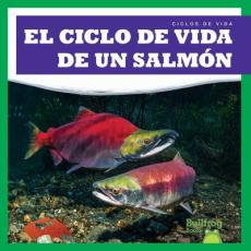 El Ciclo de Vida de Un Salmón (a Salmon's Life Cycle)