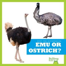 Emu or Ostrich?