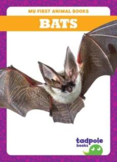 Bats