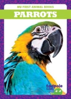 Parrots