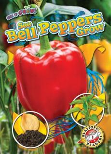 See Bell Peppers Grow