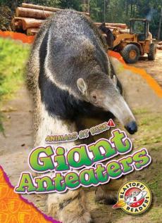 Giant Anteaters