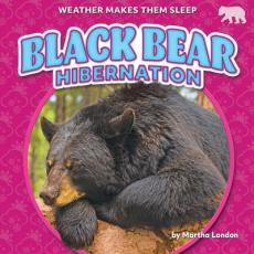 Black Bear Hibernation