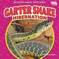 Garter Snake Hibernation