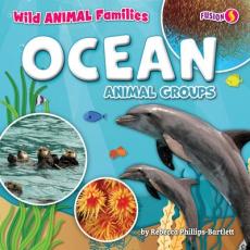 Ocean Animal Groups