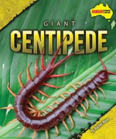 Giant Centipede