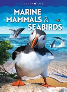 Marine Mammals & Seabirds