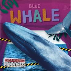 Blue Whale