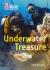 Undersea treasure