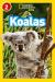 Koalas