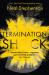 Termination shock