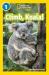 Climb, koala!
