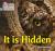 It is hidden