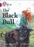 Black bull