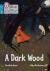 Dark wood