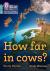 How far in cows?