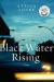 Black water rising : a novel