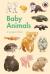 Ladybird book: baby animals