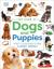 My book of dogs and puppies