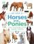 My book of horses and ponies