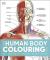 Human body colouring book