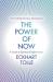 The power of now : a guide to spiritual enlightenment