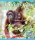 Orangutans (Nature's Children)