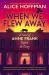 When we flew away: a novel of anne frank, before the diary