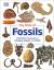 My Book of Fossils