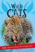 It's all about... wild cats
