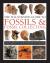The illustrated guide to fossils & fossil-collecting : a visual encyclopedia of over 375 plant and animal fossils from around the globe and how to ide