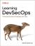 Learning Devsecops