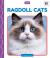 Ragdoll Cats