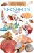 Seashells