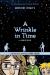A wrinkle in time : the graphic novel