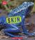 Skin (Learn About: Animal Coverings)