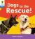 Oxford reading tree: floppy's phonics decoding practice: oxford level 3: dogs to the rescue!